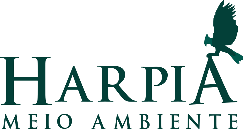 Logomarca da Harpia Meio Ambiente, com o nome em letras maiúsculas verdes e a silhueta de uma harpia voando posicionada acima da letra A.